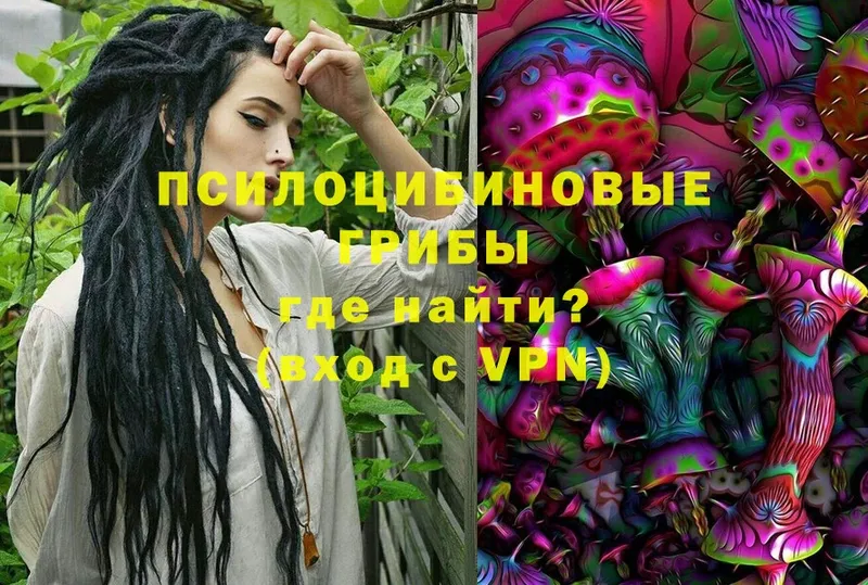 Галлюциногенные грибы Magic Shrooms  Слюдянка 